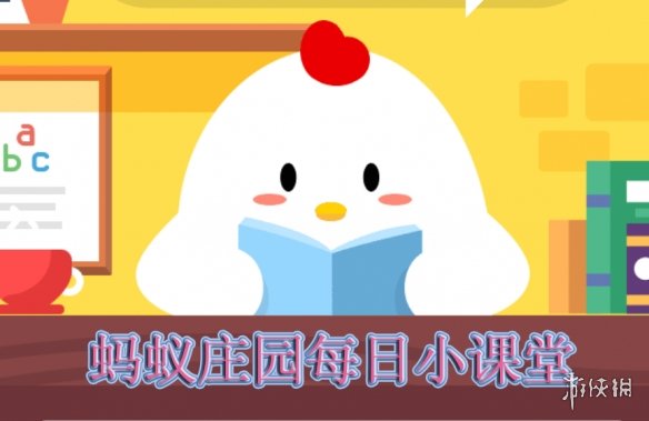 玩-森林舞会游戏电玩城PP电子森林舞会游戏机(图1)